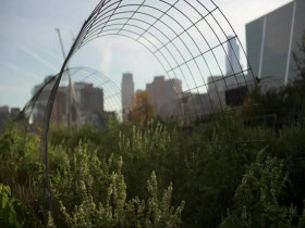 Ask This Old House S23E15 480p x264-mSD EZTV