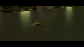 At Witts End The Hunt for a Killer S01E01 Foul Play 720p DSNP WEB-DL AAC2 0 H 264-playWEB EZTV