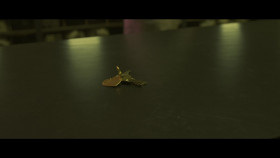 At Witts End The Hunt For A Killer S01E01 iNTERNAL 1080p WEB H264-CBFM EZTV