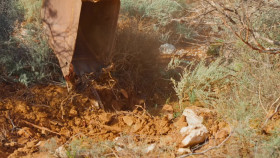 Aussie Gold Hunters S09E12 1080p WEB H264-CBFM EZTV