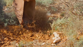 Aussie Gold Hunters S09E12 XviD-AFG EZTV