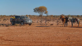Aussie Gold Hunters S09E16 1080p HEVC x265-MeGusta EZTV