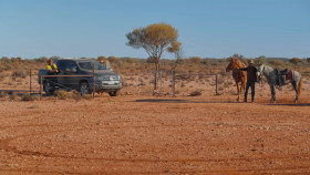 Aussie Gold Hunters S09E16 1080p WEB H264-CBFM EZTV
