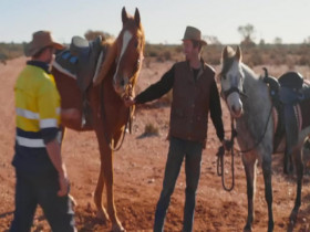 Aussie Gold Hunters S09E16 480p x264-mSD EZTV