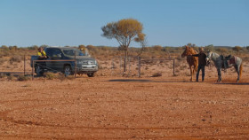 Aussie Gold Hunters S09E16 720p HEVC x265-MeGusta EZTV