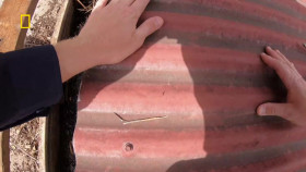 Aussie Snake Wranglers S01E06 720p WEB H264-CBFM EZTV