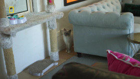 Aussie Snake Wranglers S02 1080p WEBRip AAC2 0 x264-Pinebox EZTV