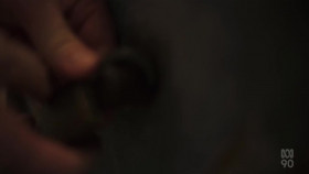 Australian Story S27E03 Great Escapes 720p HDTV x264-CBFM EZTV