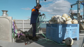 Australian Story S28E24 Sea Change Sam Elsom XviD-AFG EZTV