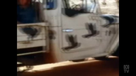 Australian Story S29E05 Peter Garrett XviD-AFG EZTV