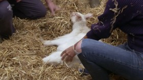 Autumn at Jimmys Farm S01E02 720p HDTV x264-DARKFLiX EZTV