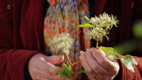 Autumn Gardening with Carol Klein S03E04 1080p HDTV H264-DARKFLiX EZTV