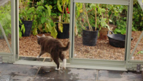 Autumn Gardening with Carol Klein S03E05 1080p HDTV H264-DARKFLiX EZTV