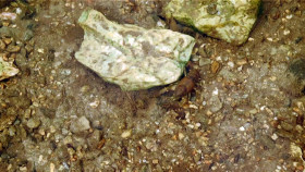 Back From The Brink 2019 S04E01 1080p WEB H264-CBFM EZTV