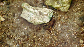 Back From The Brink 2019 S04E01 XviD-AFG EZTV