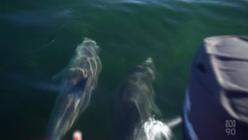 Back Roads S08E05 1080p HEVC x265-MeGusta EZTV