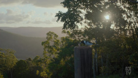 Back To Nature S01E01 1080p HDTV H264-CBFM EZTV