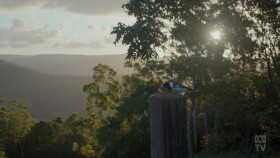 Back To Nature S01E01 720p HDTV x264-CBFM EZTV