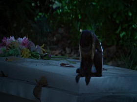 Bad Monkey S01E03 480p x264-mSD EZTV