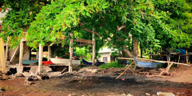 Bad Monkey S01E10 Were in the Memory-Making Business 1080p ATVP WEB-DL DDP5 1 H 264-NTb EZTV