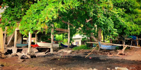 Bad Monkey S01E10 Were in the Memory-Making Business 1080p HEVC x265-MeGusta EZTV