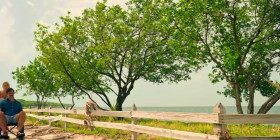 Bad Monkey S01E10 Were in the Memory-Making Business 1080p WEBRip 10Bit DDP5 1 HEVC-d3g EZTV