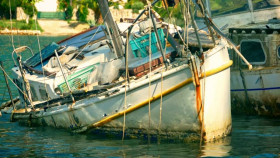 Bad Monkey S01E10 XviD-AFG EZTV