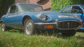 Bangers and Cash S10E01 1080p WEB h264-CODSWALLOP EZTV