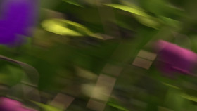 Barbie It Takes Two S01 1080p WEBRip x265 EZTV