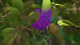 Barbie It Takes Two S01 720p NF WEBRip DDP5 1 x264-YZAL EZTV