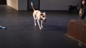 Barkley Manor S01E03 1080p HEVC x265-MeGusta EZTV