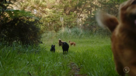 Barkley Manor S01E05 1080p HEVC x265-MeGusta EZTV
