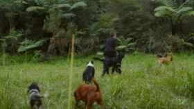 Barkley Manor S01E05 HDTV x264-MAKIMAKI EZTV