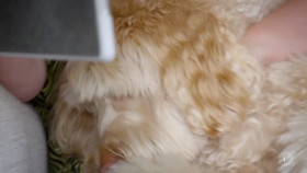 Barkley Manor S01E07 1080p HEVC x265-MeGusta EZTV