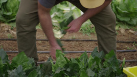 Barnwood Builders S19E05 1080p WEB h264-FREQUENCY EZTV