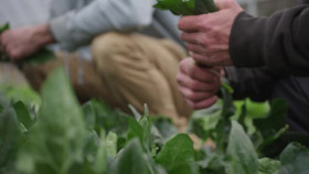 Barnwood Builders S19E05 XviD-AFG EZTV