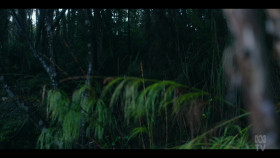 Bay Of Fires S01E04 1080p HDTV H264-CBFM EZTV