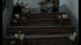 Becoming Karl Lagerfeld 2024 S01E02 1080p DSNP WEB-DL H265 SDR DDP 5 1 Dual-HONE EZTV