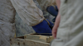 Bee Czar S01E02 Bee the Tree 1080p WEB h264-B2B EZTV