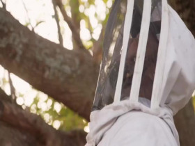 Bee Czar S01E02 Bee the Tree 480p x264-mSD EZTV