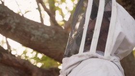 Bee Czar S01E02 Bee the Tree 720p WEBRip x264-KOMPOST EZTV