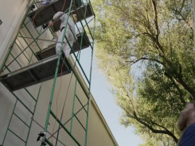 Bee Czar S01E05 480p x264-mSD EZTV