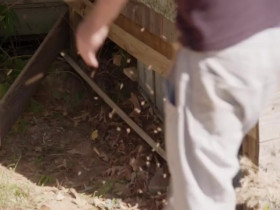 Bee Czar S01E06 Show Me the Honey 480p x264-mSD EZTV