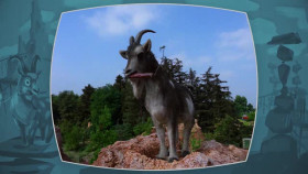 Behind the Attraction S02E02 XviD-AFG EZTV