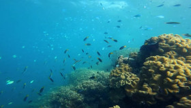 Below Deck Down Under S02E16 720p HEVC x265-MeGusta EZTV