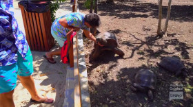 Below Deck S08E15 HDTV x264-PHOENiX EZTV