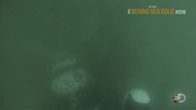 Bering Sea Gold S06E07 HDTV x264-FUM EZTV