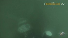 Bering Sea Gold S06E07 Teamwork 720p HDTV x264-DHD EZTV