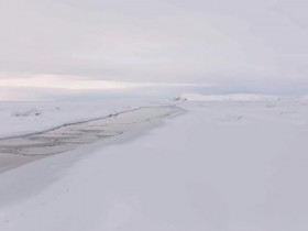 Bering Sea Gold S18E06 480p x264-mSD EZTV