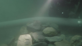 Bering Sea Gold S18E09 1080p WEB h264-FREQUENCY EZTV